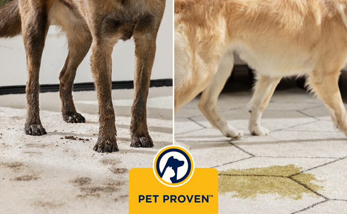 Certifié PET Proven