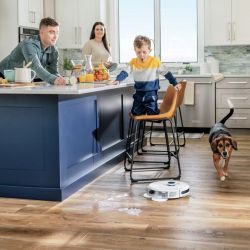 BISSELL SpinWave R5 Pet