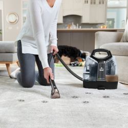 SpotClean Pet Plus