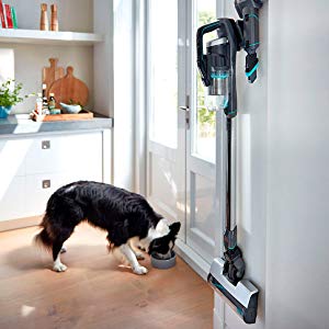 BISSELL ICONPET 25V Support Mural