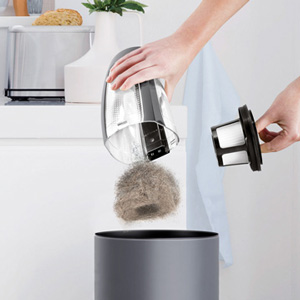 BISSELL Pet Hair Eraser