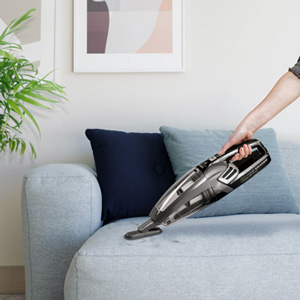 BISSELL Pet Hair Eraser