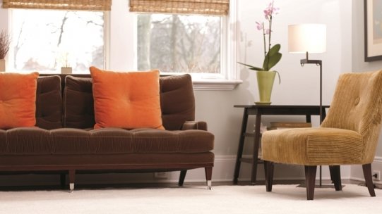 NETTOYAGE DE PRINTEMPS AVANT DE VOYAGER